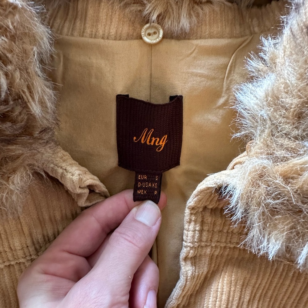 Mango - Picture 4 of 9